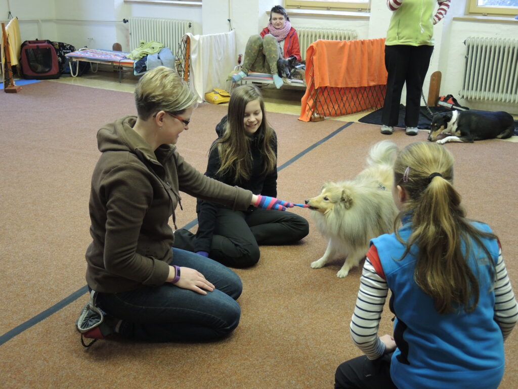 CT workshop 2015 - stahování ponožky