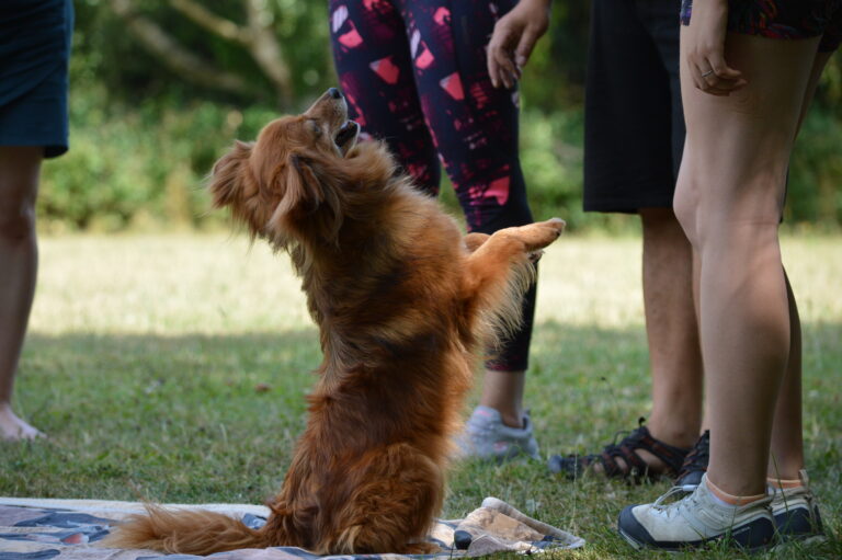 CT zkoušky HM 2023 - panáčkování