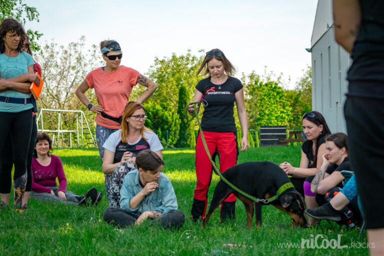 Sledujeme psí komunikaci