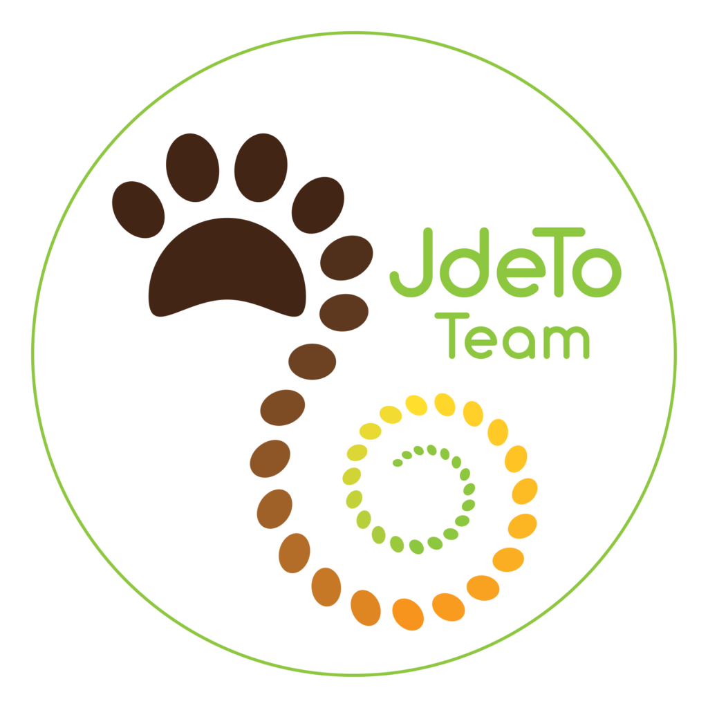 Logo JdeTo Team průhledné