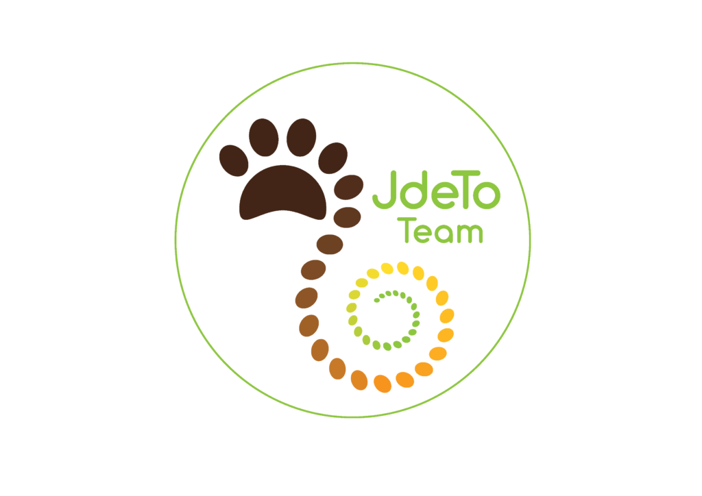 Logo JdeTo Team