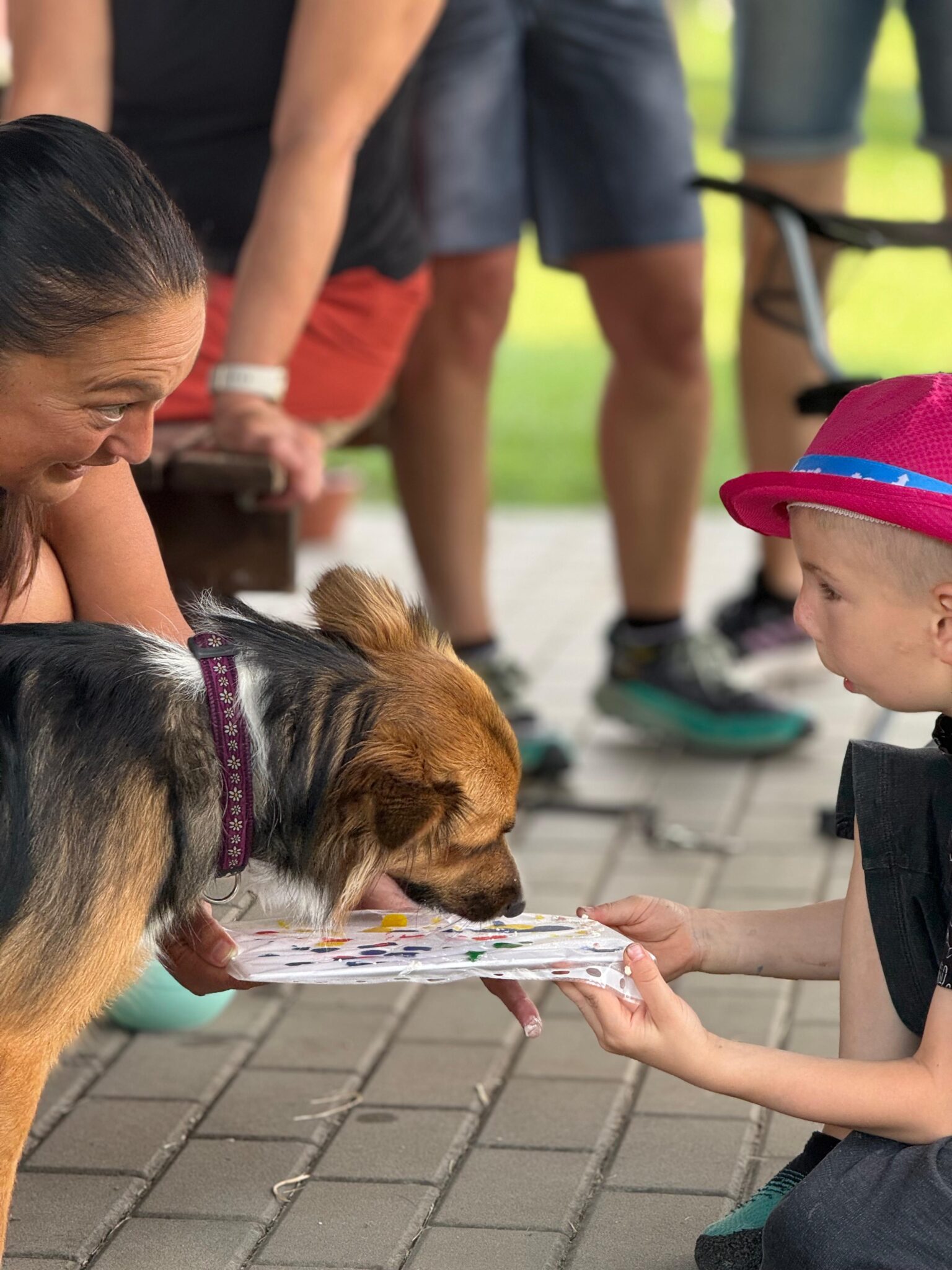 CT zkoušky Michaela Orlíková