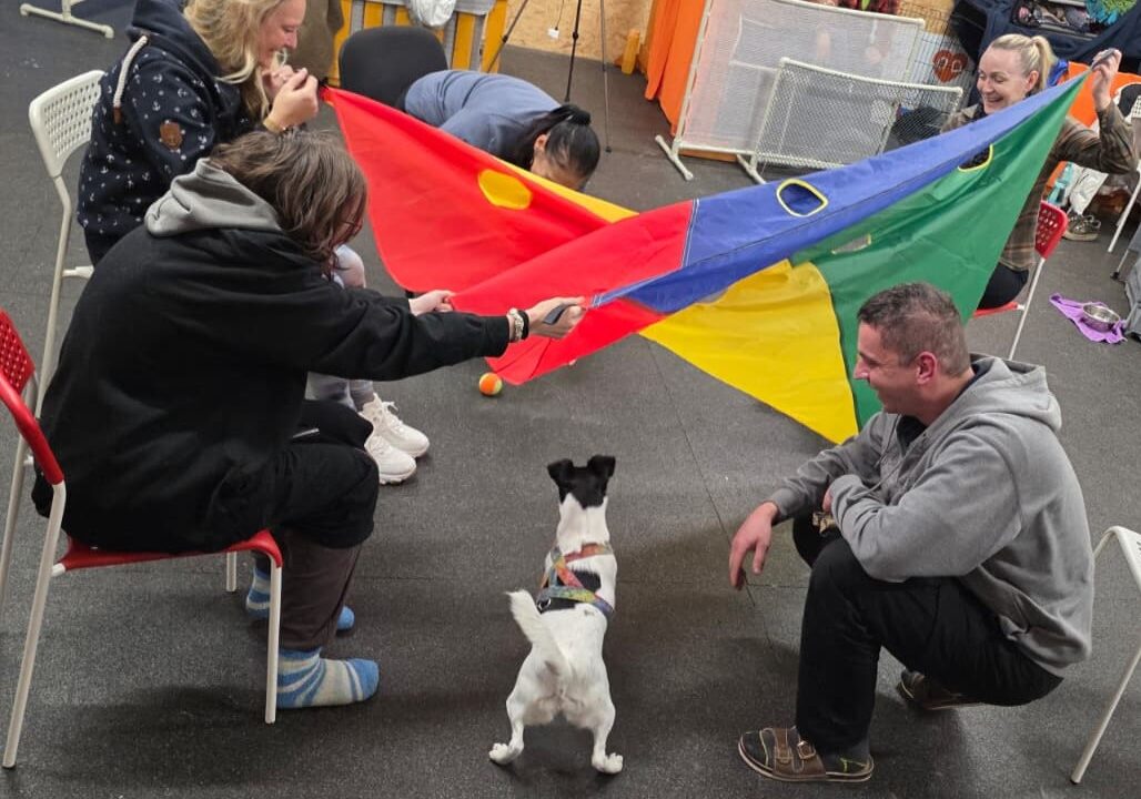 ZKOUŠKY canisterapeutických týmů v Praze (Sklep)