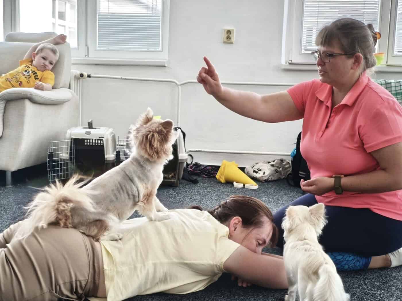 ZKOUŠKY canisterapeutických týmů v Brně (neděle)