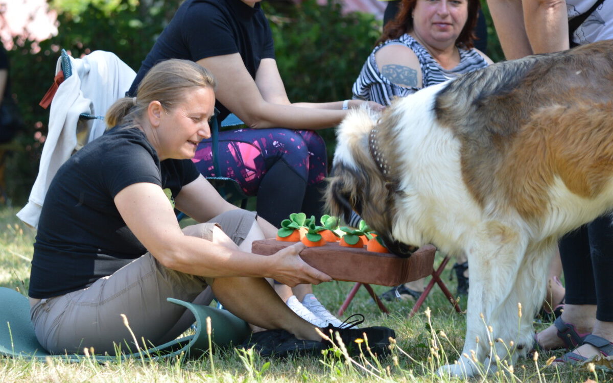 ZKOUŠKY canisterapeutických týmů v Heřmanově Městci