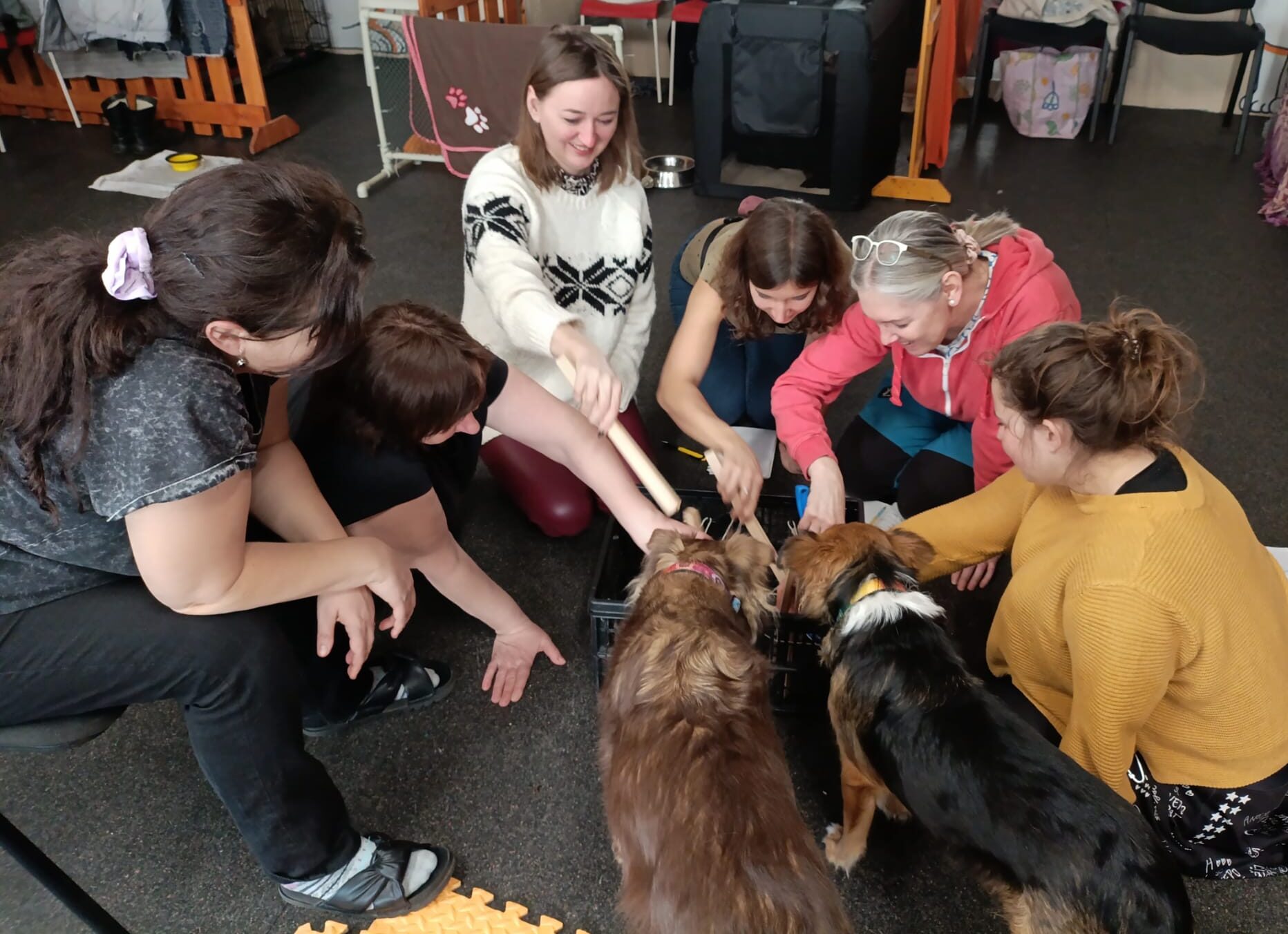 ZKOUŠKY canisterapeutických týmů v Brně (neděle)