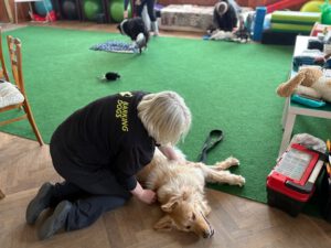 Bývalý hostinec Litětiny cvičení se psy