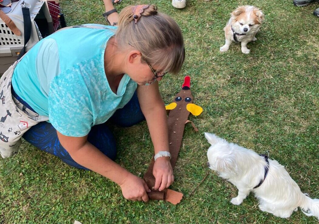 CANISTERAPEUTICKÝ TÁBOR pro pokročilé v Heřmanově Městci