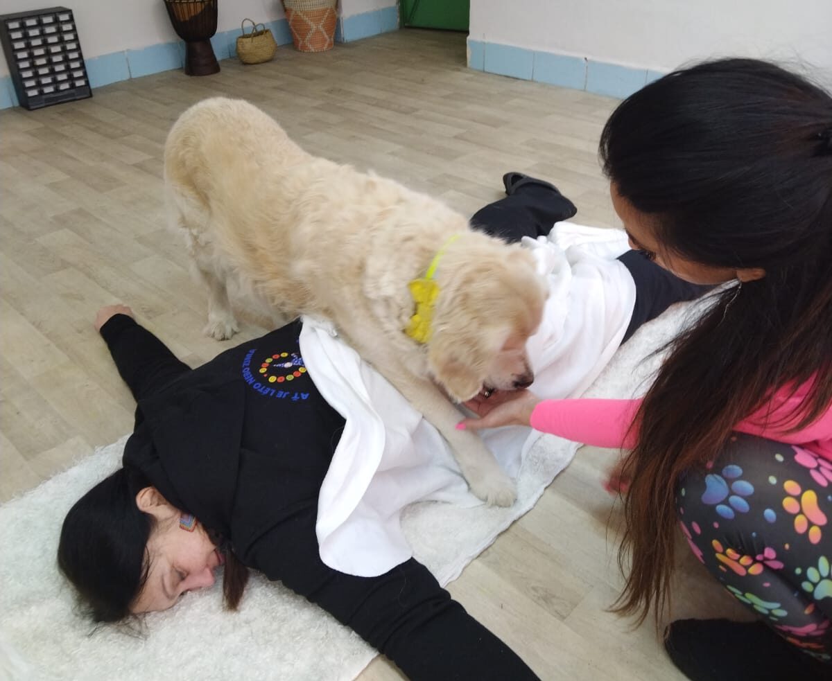 VELKÝ INSPIRATIVNÍ CANISTERAPEUTICKÝ KURZ v Praze (Sklep)