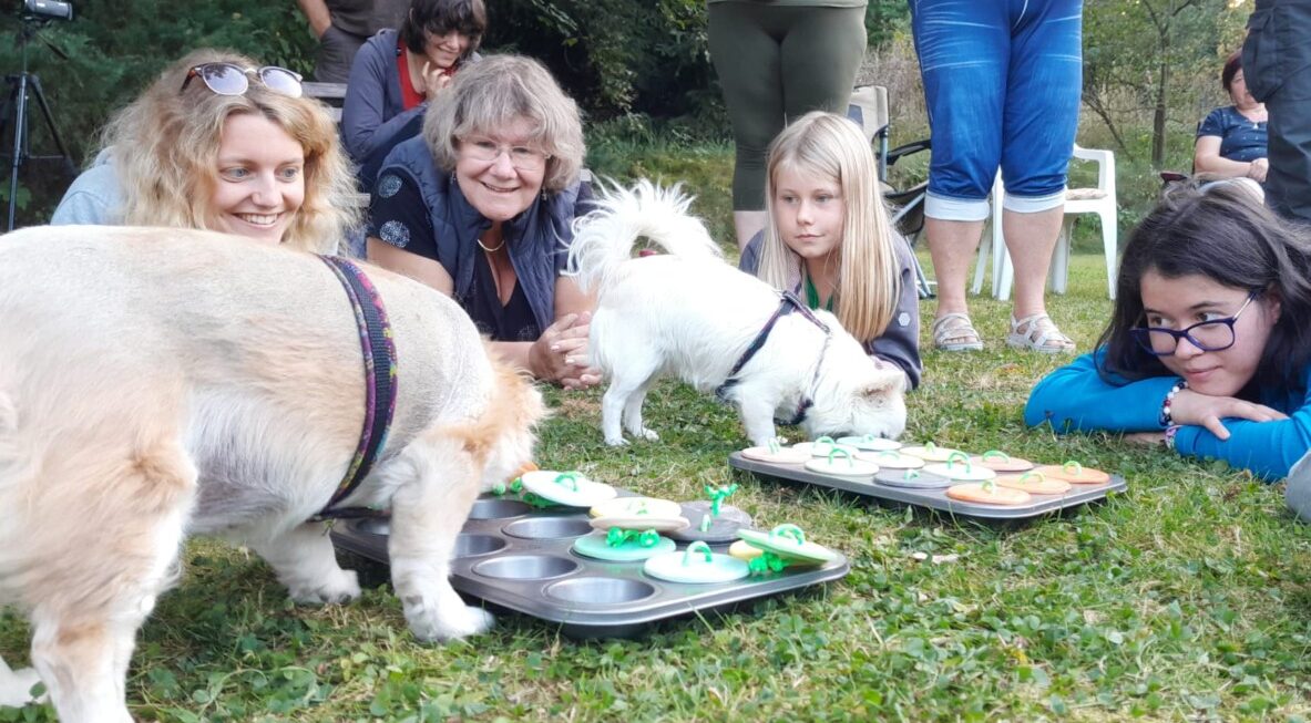 CANISTERAPEUTICKÝ TÁBOR pro začátečníky v Heřmanově Městci