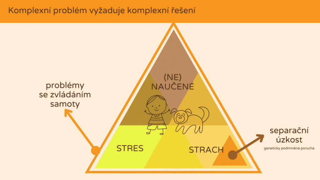 Zaškolení – Jak na psí samotu (2) Tři příčiny problémů se samotou