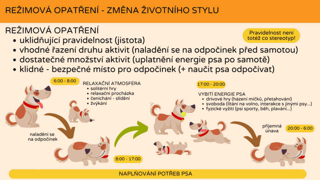 Zaškolení – Jak na psí samotu (4)