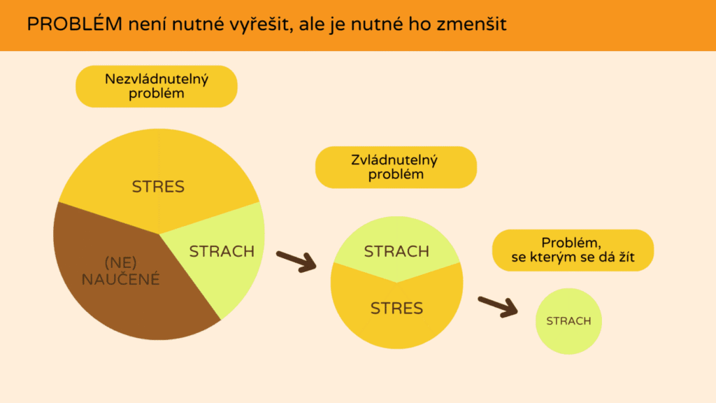Zaškolení – Jak na psí samotu Problém není nutné vyřešit, ale je nutné ho zmenšit